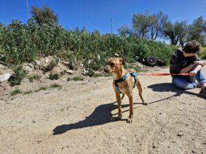 03-24_Claretta_3