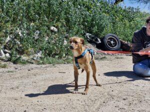 03-24_Claretta_5