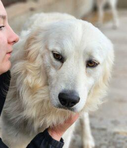 03-24_Fergus5