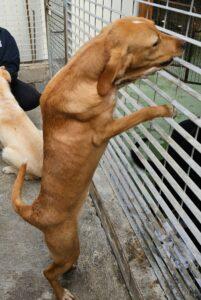 03-24_Nascosto12