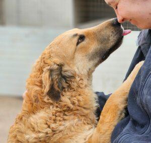 03-24_Ranger12