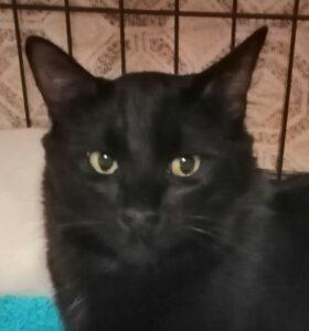 Claudio 16.4. Portrait