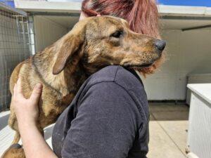 05-24_Berta.C_1