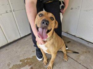 05-24_Berto.C_Eingangsbild