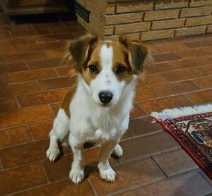 05-24_Lizzy_1