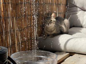 Mila und Melissa neu 1