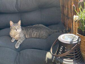 Mila und Melissa neu 2