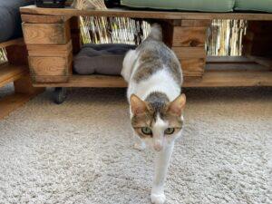 Mila und Melissa neu 3