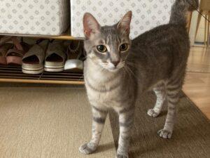 Mila und Melissa neu 4