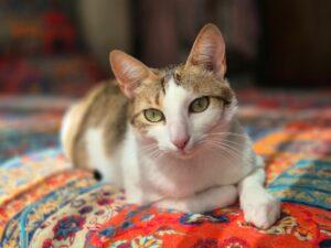 Mila und Melissa neu 5