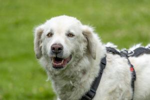 07-24_Beatrice1