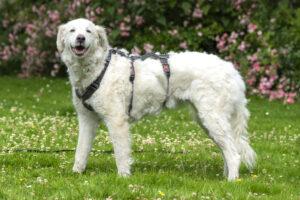 07-24_Beatrice2