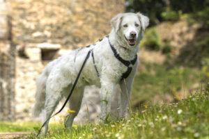 07-24_Beatrice3