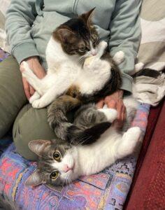 Cleo+Clio.neu-neu.2