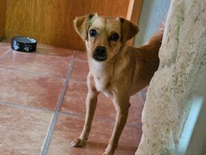 07_24_Panarea 3