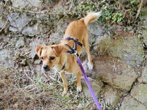 07_24_Panarea 5