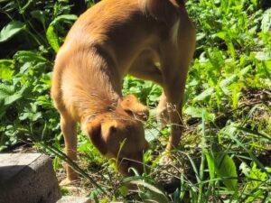 07_24_Panarea 6