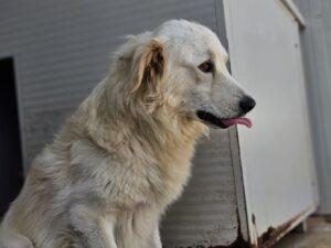 08_24_Fergus 3