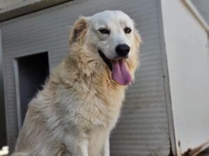 08_24_Fergus 4