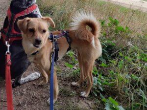 08_24_Panarea 1