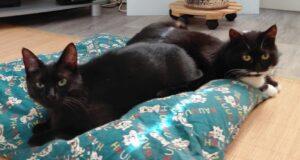 Carola_Libera_05.2025_3