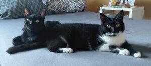 Carola_Libera_08.2025_6