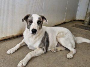 08_24_Ginger 2
