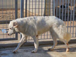 08_24_Mila 3
