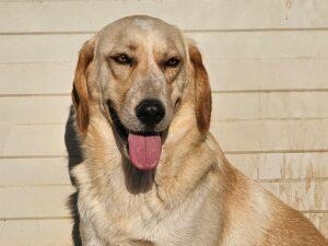 08_24_Peggy 1