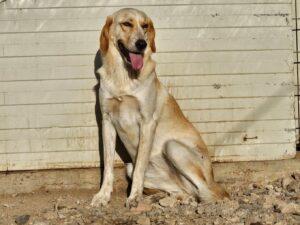 08_24_Peggy 3