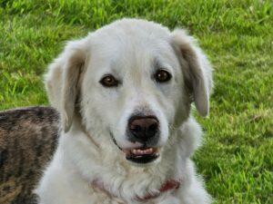 09_24_Beatrice 1