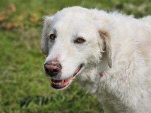 09_24_Beatrice 10