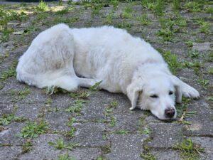 09_24_Beatrice 3
