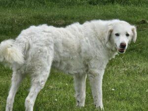 09_24_Beatrice 5