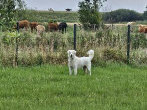 09_24_Beatrice 8