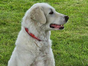 09_24_Beatrice 9