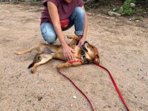 10_24_Stella 2