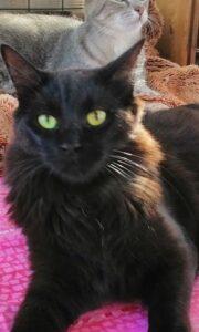 WhatsApp Image 2024-10-02 at 17.22.16 - Kopie