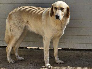 04-25_Peggy1b