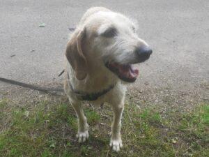 06-25_Carmensita-PS4b