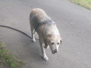 06-25_Carmensita-PS5b