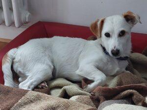 06_25_Prezzemolina_1