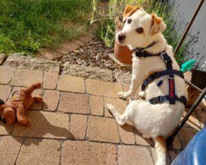 06_25_Prezzemolina_2