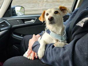 06_25_Prezzemolina_3