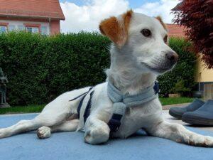 06_25_Prezzemolina_4