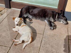 06_25_Prezzemolina_5