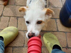 06_25_Prezzemolina_8