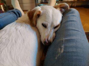 06_25_Prezzemolina_9