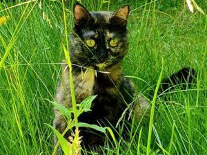 Francy_26-06_1