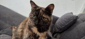 PHOTO-2025-05-29-08-56-15